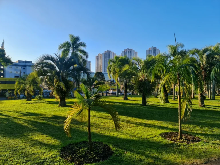 Lush green park with palm trees in Curitiba, Brazil on a clear day with city buildings in the background.