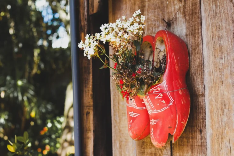 Creative floral arrangement using wooden shoes as planters on a rustic wall.