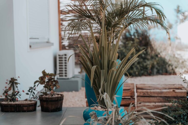 Stylish outdoor patio featuring various potted plants and a prominent palm in a blue pot.