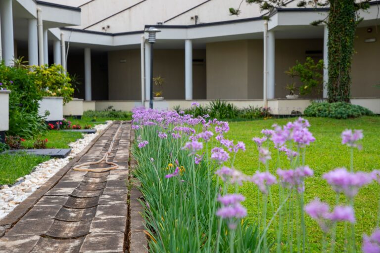 A vibrant garden pathway lined with blooming purple flowers beside a modern building.