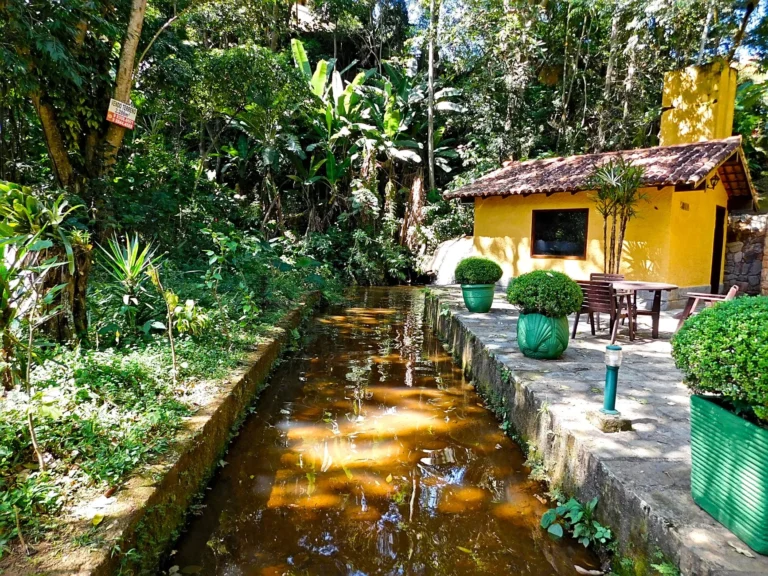A tranquil forest cabin by a stream in Rio de Janeiro, surrounded by lush greenery.