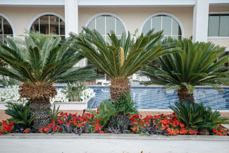 Vibrant palm trees and red flowers surrounding a serene swimming pool in an outdoor setting.