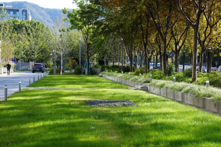 Tranquil urban park scene with autumn foliage, green lawn, and modern architecture under a sunny sky.