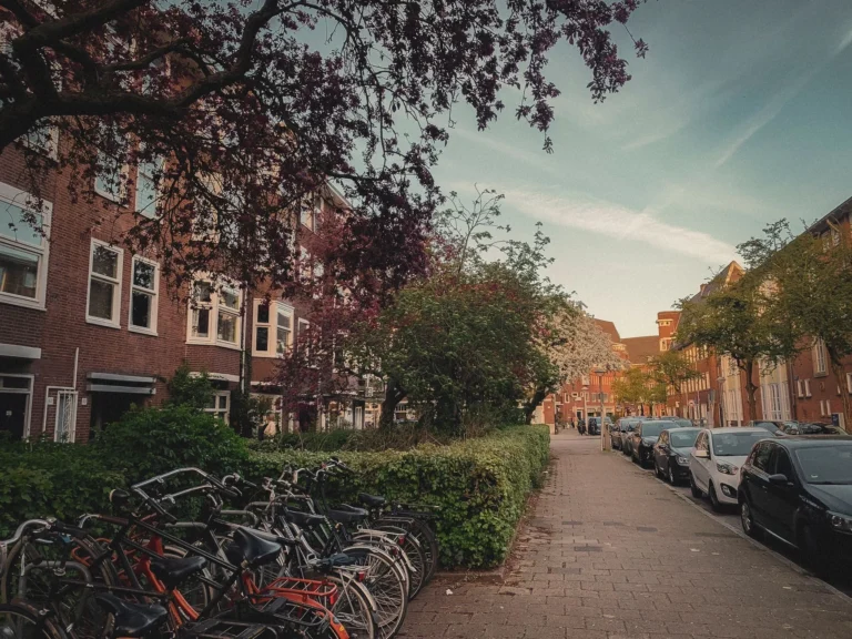 Scenic Amsterdam street with parked bicycles, vibrant spring blossoms, and charming architecture.