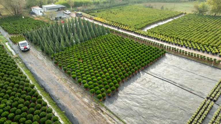 Aerial shot of a well-organized plant nursery in Yalova, Türkiye.