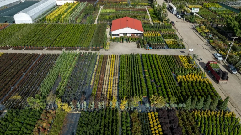 Explore an aerial perspective of a diverse plant nursery in Yalova, Türkiye.