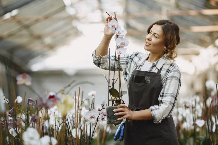 A woman wearing an apron carefully examines a potted orchid in a greenhouse filled with flowers.