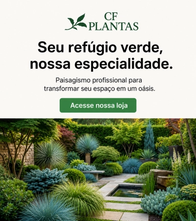 CTA – Topo