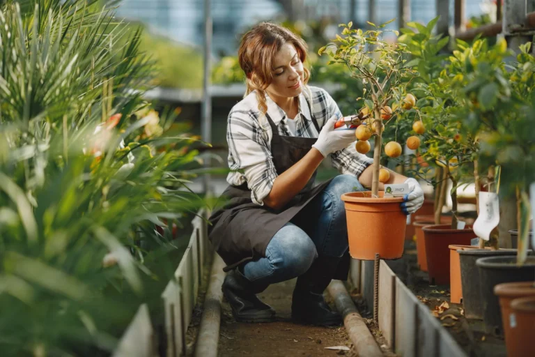 Woman tending to potted fruit tree in a lush greenhouse, showcasing gardening care and techniques.