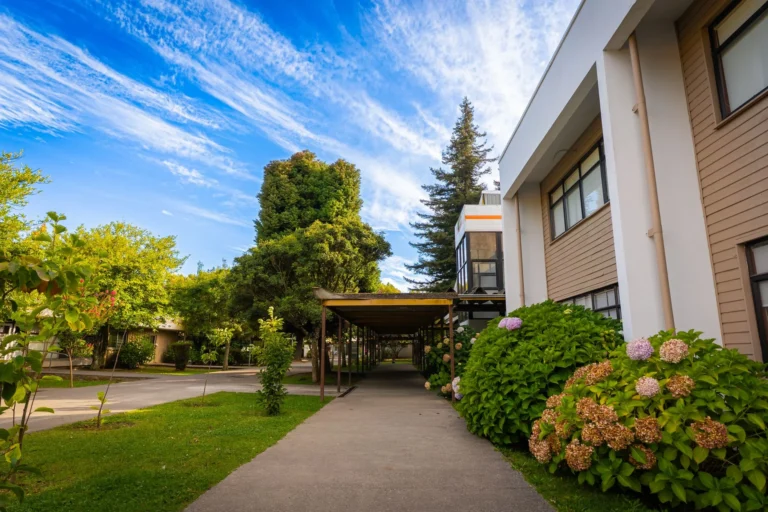 A vibrant outdoor view of a school campus with lush greenery and a clear blue sky.