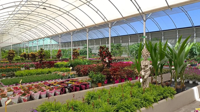 Explore a colorful, vibrant greenhouse filled with diverse plant species and ornamental statues.