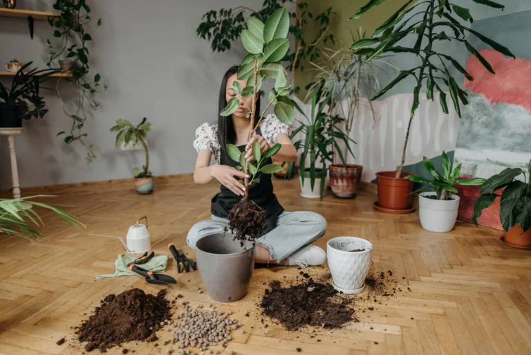 A woman carefully repotting a plant indoors surrounded by various greenery and gardening tools.