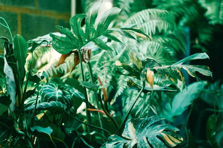 Vibrant green tropical plants illuminated by sunlight, showcasing rich textures and nature's beauty.